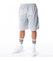 Short Lifestyle Branded Mesh Grey