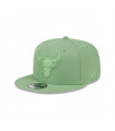 Gorra 9Fifty Chicago Bulls NBA Color Pack Green Med