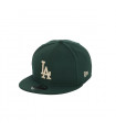 Gorra 9Fifty Los Angeles Dodgers MLB Stone Pack Dark Green